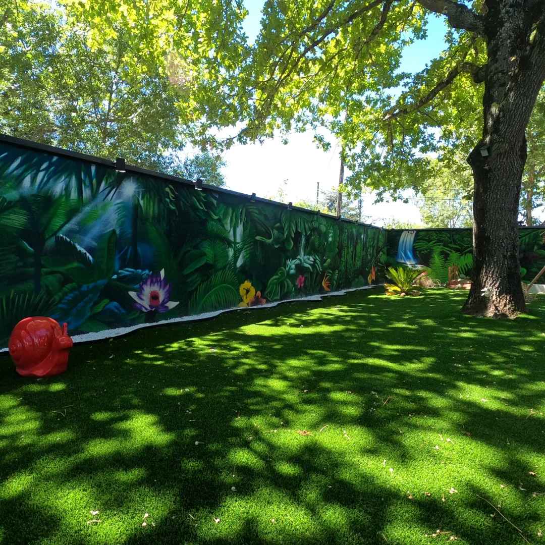 image_couverture_fresques